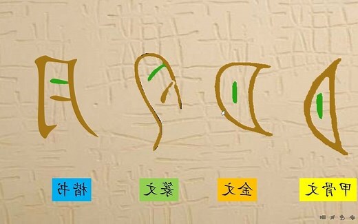 肉 文字